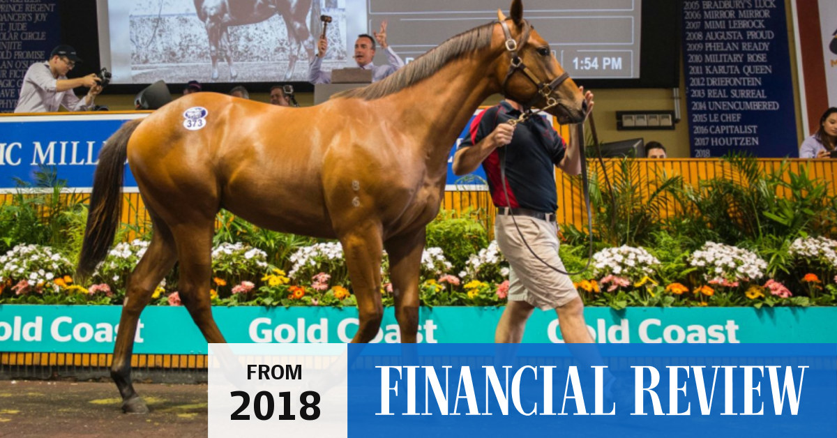 Magic Millions sets new record for yearling sales